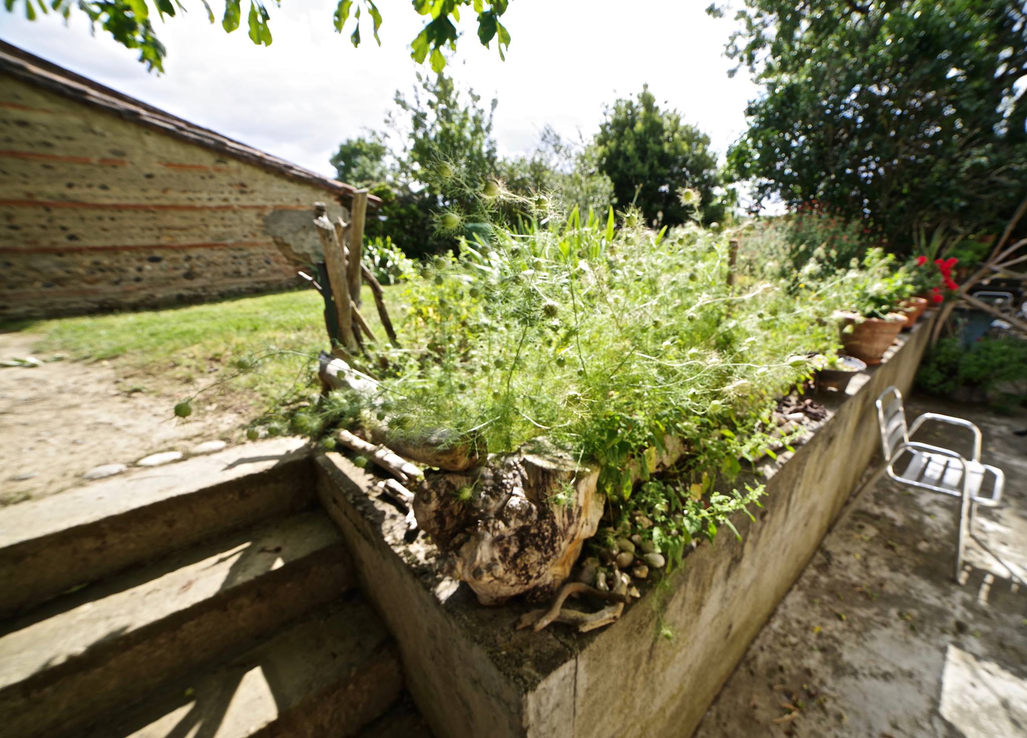 Jardin